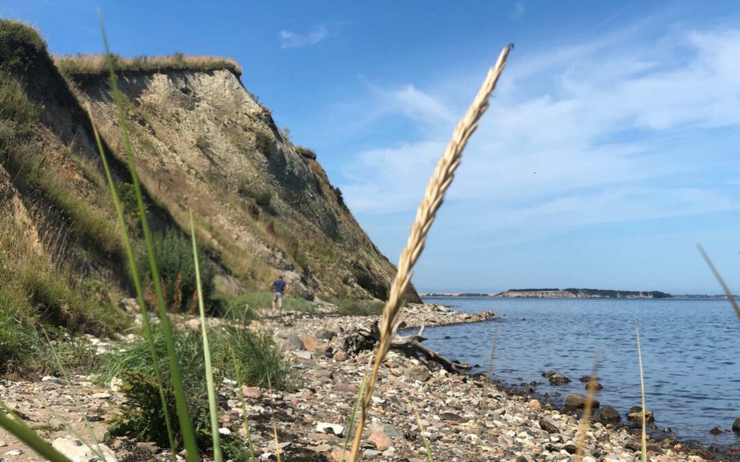 Generalforsamling i LAG & FLAG Thy-Mors den 28. april 2026 kl. 19.00